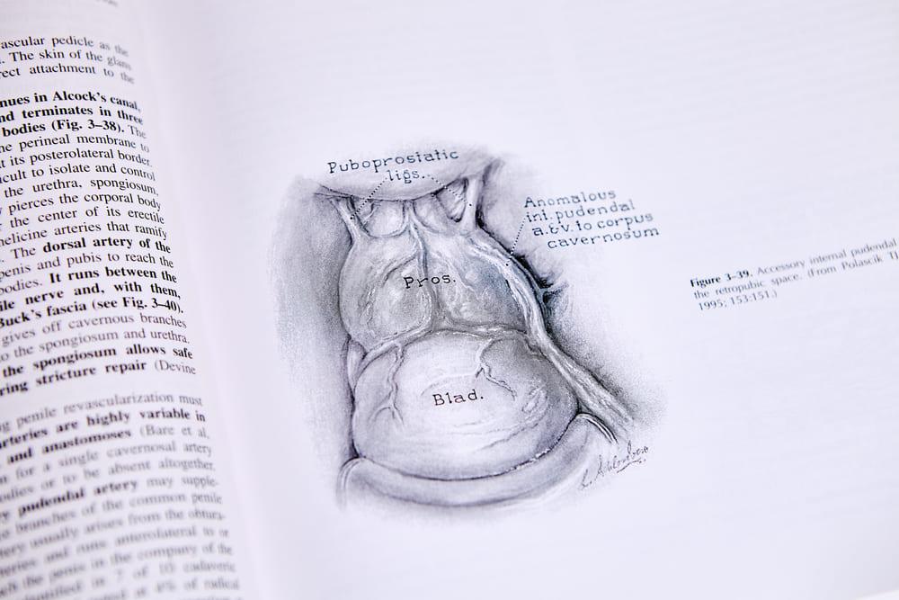 Livre d'urologie sur la prostate et la vessie